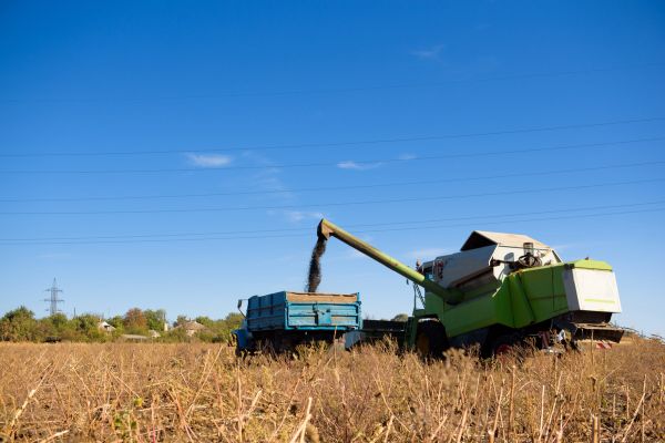 Οι νέες σοδειές σιτηρών αποκλιμακώνουν τις τιμές λέει πόρισμα Κομισιόν
